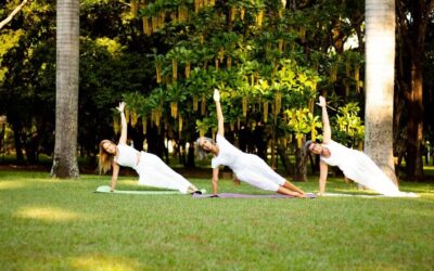 Entenda a Diferença entre Dharma e Karma: Como Suas Escolhas Podem Impactar Suas Ações